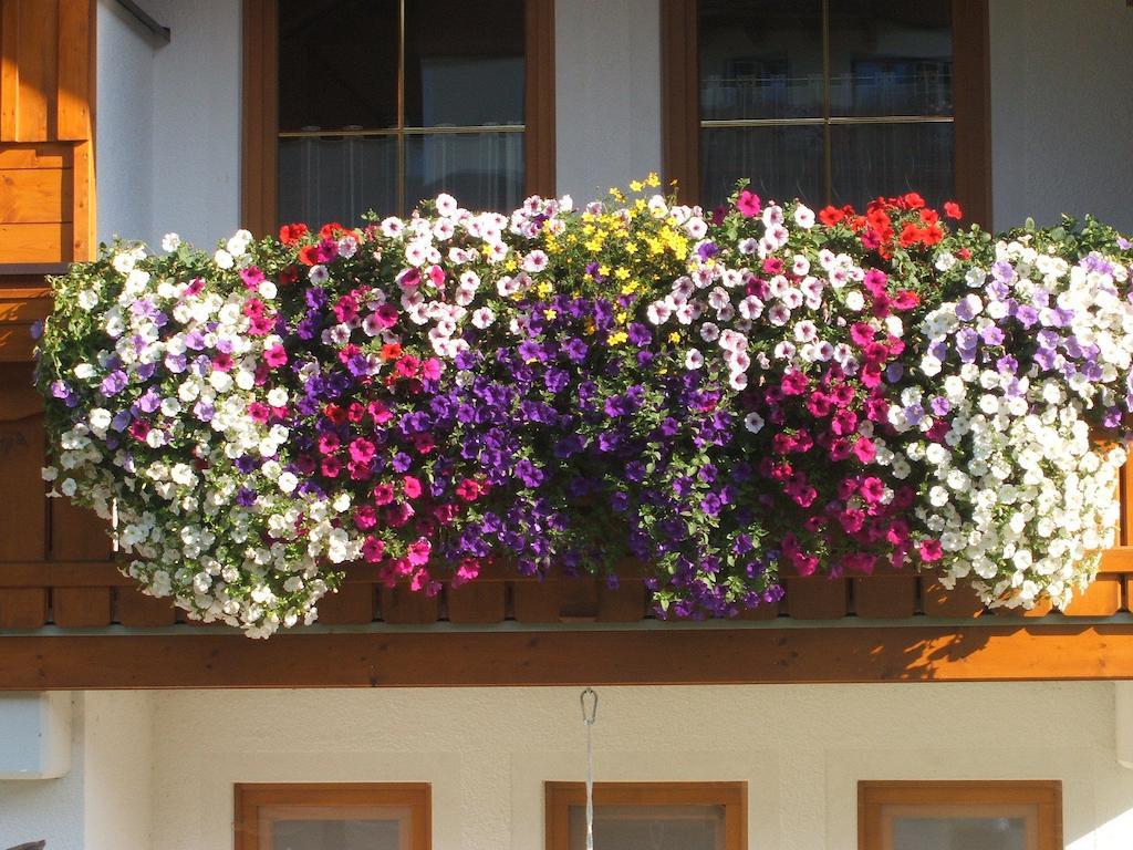 Apartment Haus Sonnental Filzmoos